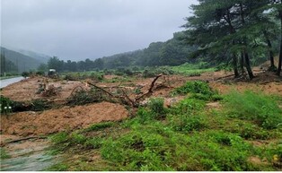 보물 삼층석탑 석축 무너지고, 성벽 붕괴…폭우가 할퀸 국가유산(종합)