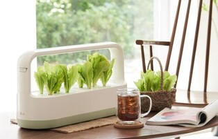 LG 틔운, 화분에 옮겨 심을 수 있는 '모듈형 씨앗키트' 출시