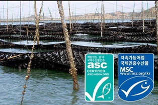 신안 지주식 김양식장, 친환경 해조류 국제인증