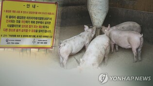 S. Korea ups containment measures against ASF