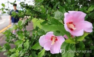 완주 고산문화공원서 내달 12일 '나라꽃 무궁화 축제'
