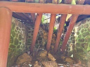 나무 쓰러지고 지붕 곳곳 파손…장마철 국가유산 피해 총 55건