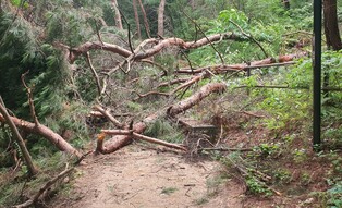 원주 치악산 둘레길 일부 코스 폐쇄…탐방객 안전 차원