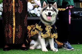 인도네시아 대통령실 직원, 반려견 호화 결혼식에 뭇매