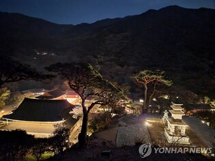 "한여름 밤의 꿈" 화엄사 8월 1일부터 야간 개방