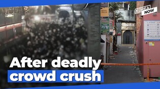 Constitutional Court "Itaewon tragedy was the result of many factors