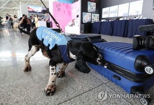 (LEAD) Record amount of drugs seized in S. Korea in H1: customs agency