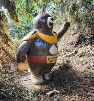 [픽! 공주] "폭우로 떠내려갔던 고마곰 무사합니다"