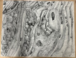 [미술소식] 롯데갤러리 加이누이트 아트전·김종이 개인전