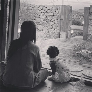 가수 장필순 "반려견 맡겼는데 열사병 숨져" 애견호텔 고소