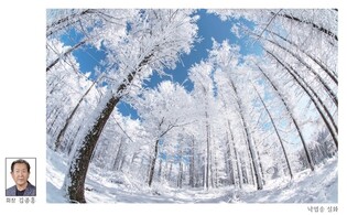 [정선소식] 정선터미널서 정선포토 동아리 회원전