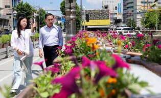 꽃길 조성하고 이벤트 풍성…대전 동·중구, 0시 축제 준비 분주