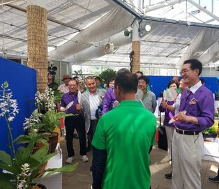 신안군 자은도에 한·일 '여름새우란' 100여점 한자리에