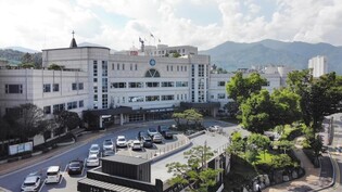 가평군 고향사랑기부 답례로 자라섬 재즈페스티벌 티켓 할인