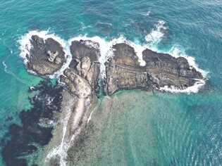 포항 오도리 주상절리 천연기념물 지정…학술 가치 높아