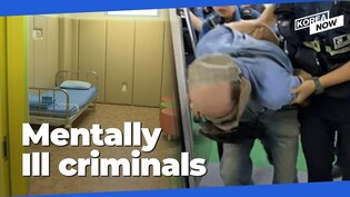 Subway stabber diagnosed with schizophrenia: Can Korea cope with mentally ill criminals?