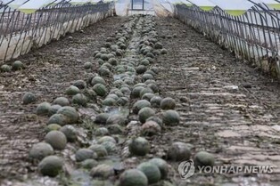 익산시, 수해 재난지원 확대…추석 전 지원금 지급