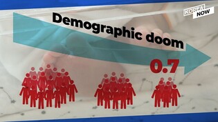 S.Korea's national fertility rate falls to record low of 0.7