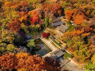 창덕궁 후원 9∼11월에 해설사 없이 자유롭게 관람…입장 인원↑