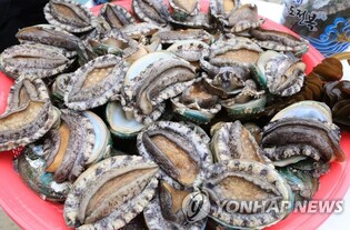 강진 '하맥축제' 전복 40% 특별할인