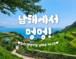 '댕댕이와 떠나요'…남해관광재단, 반려동물 동반 여행상품 출시