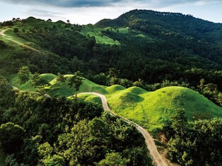 '가야 고분군에 관심을'…고령군, 국회서 기획전시·세미나 개최