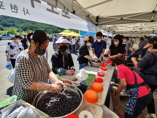 보령 사현 포도마을서 9일 '사현 포도 축제'