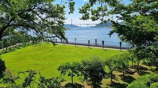 창원시, 마산국화축제 앞두고 인근 돝섬서도 손님맞이 준비 분주