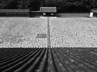 지붕서 내려다본 종묘, 불밝힌 희정당…가까이 보니 더 아름답네