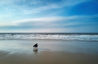 '대한민국 문화의 달' 행사, 신안 자은도서 내달 20~22일 개최