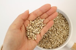 [재미있는 약초 이야기]⑧ 사람에게 이로움을 주는 '잇꽃' 홍화