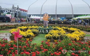 제10회 횡성더덕축제 개막…17일까지 '향에 취하고 맛에 반하다'