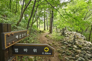 정선군, 정선선 간이역 일대 웰니스 관광지 개발