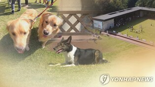 창원서 반려 동·식물과 함께 즐기는 문화축제 열린다