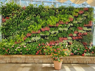 청주농업기술센터 열대식물원 추석 연휴 개방