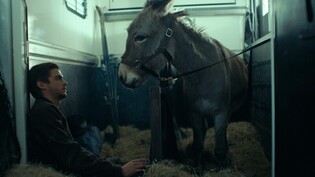방랑하는 동물의 눈으로 본 인간 세계…영화 '당나귀 EO'