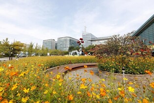 '꽃의 도시' 고양서 월말부터 꽃축제·거리공연 풍성