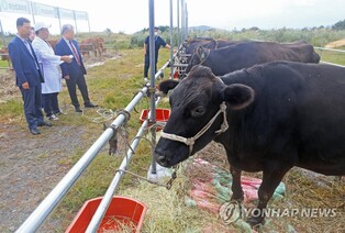 '제주 최고 한우·흑우는?' 제주농협 경진대회 개최