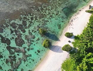 [여행honey] 과한(Guahan) 사랑 '흠뻑' 괌의 매력 ①