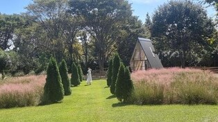 대전·세종·충남 대체로 맑음…낮 최고기온 22∼24도