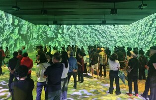 강원산림엑스포 대형미디어아트 '핫플'로 연일 북적