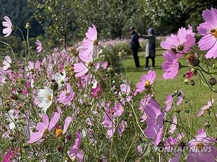 "황금연휴 즐기자" 추석 연휴 넷째 날…관광명소·유원지 북적