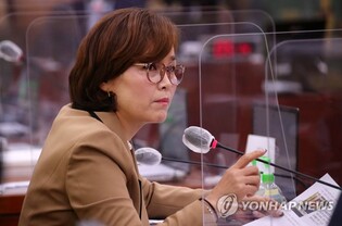 "도둑맞은 문화재 22%만 회수…문화재 절취 공소시효 늘려야"