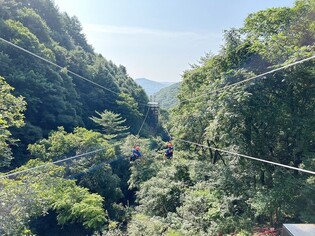 홍천군 가리산 레포츠파크 집라인 새 단장 오픈