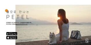 반려동물 여행 플랫폼 페텔, 국제 행사에 객실 공급