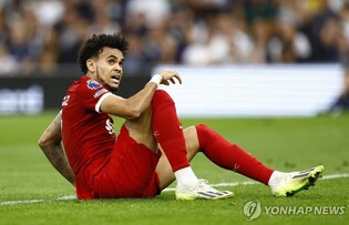 리버풀 'VAR 오심' 음성 기록 공개…"경기 멈춰야 해!"