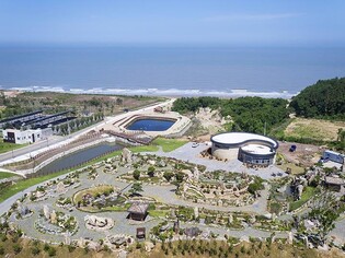 '대한민국 문화의 달' 행사 앞두고 신안 자은도 관심 집중