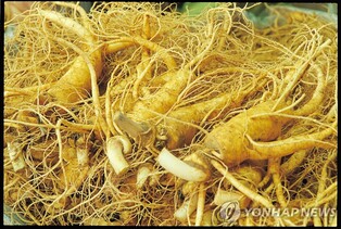 백종원, 금산세계인삼축제서 먹거리 컨설팅·인삼 푸드 선봬