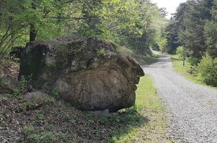1년에 한 번 열리는 비공개 광릉숲…올해는 7∼8일 개방