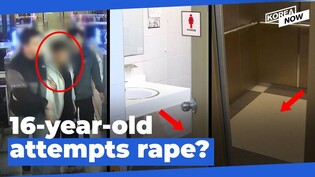 Police arrest teen on charges of assaulting 3 schoolgirls in restroom, elevator